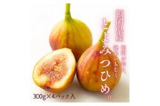【2025年9月下旬より順次発送】福岡県産 とよみつ姫 約1.2kg以上(約300g×4パック入り) うまうまもぐもぐ