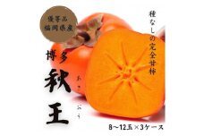 【2025年11月上旬より順次発送】福岡県産 博多秋王【優等品】約10.5kg以上(8玉〜12玉入り)×3箱 うまうまもぐもぐ