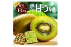 【2025年11月上旬より順次発送】博多甘うぃキウイ(あまうぃ)大玉 9玉入り 1.4kg相当 うまうまもぐもぐ