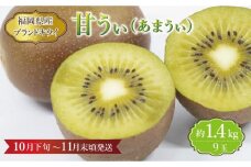 【福岡県産】キウイ『甘うぃ』 約1.4kg