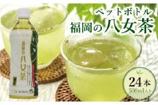 【八女茶】煎茶ペットボトル 500ml×24本