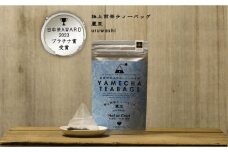 原田茶園 極上煎茶ティーバッグ 麗至 2袋(64g/16包)【八女茶】