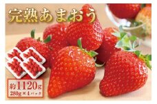 ★先行予約★ 完熟 あまおう イチゴ 280g×4パック(約1120g)【出荷予定：2025年1月～2月】
