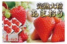 完熟 大粒 あまおう イチゴ 280g×4パック(約1120g)【出荷予定：12月中旬以降】