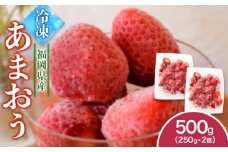 福岡県産　冷凍あまおう500g（250ｇ×2個）