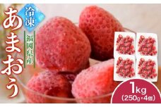 福岡県産　冷凍あまおう1kg（250ｇ×4個）
