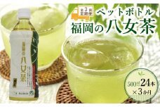 【全3回毎月定期便】八女茶 煎茶ペットボトル 500ml×24本　