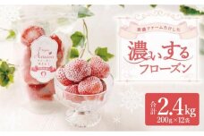 武下さんちの冷凍あまおう「濃いするフローズン200g」×12袋