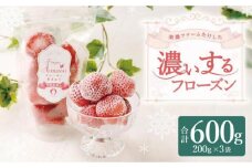 武下さんちの冷凍あまおう「濃いするフローズン200g」×3袋