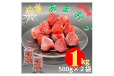 【福岡スイーツ自然の贈り物】かわいい化粧箱入り！福岡県産冷凍あまおう合計1kg(500g×2袋)