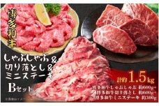 博多和牛 しゃぶしゃぶ＆切り落とし＆ミニステーキ　Bセット