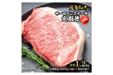 博多和牛 サーロインステーキ 定期便全3回 計約1.2kg(約400g(約200g×2)×3回)