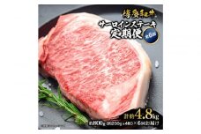 博多和牛 サーロインステーキ 定期便全6回 計約4.8kg(約800g(約200g×4枚)×6回)