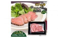 博多和牛 サーロインブロック 定期便全5回 計約2.5kg(約500g×5回)