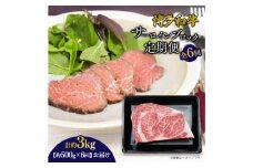 博多和牛 サーロインブロック 定期便全6回 計約3kg(約500g×6回)