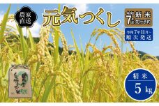 ＼令和7年産 先行予約／ 【2025年11月より順次発送】《令和7年産 》 福岡県大川市産 米「 元気つくし 」 5kg | お米 米 こめ 精米 白米 ライス ブランド米 ごはん ご飯