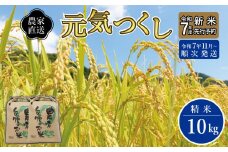 ＼令和7年産 先行予約／ 【2025年11月より順次発送】《令和７年産 》 福岡県産 米 「 元気つくし 」 5kg×2個 計10kg | お米 米 こめ 精米 白米 ライス ブランド米 ごはん ご飯