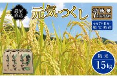 ＼令和7年産 先行予約／ 【2025年11月より順次発送】《令和７年産 》 福岡県産 米 「 元気つくし 」 5kg×3個 計15kg | お米 米 こめ 精米 白米 ライス ブランド米 ごはん ご飯