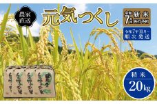 ＼令和7年産 先行予約／ 【2025年11月より順次発送】《令和７年産 》 福岡県産 米 「 元気つくし 」 5kg×4個 計20kg | お米 米 こめ 精米 白米 ライス ブランド米 ごはん ご飯