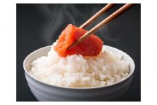 【あき乃家】ワイン仕込み辛子明太子切落し(500g)