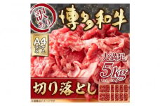 訳あり 博多和牛 切り落とし 5kg ( 500g×10パック ) | 牛肉 和牛 小分け 切り落とし 切落し 不揃い 5000g 5キロ 肉じゃが 牛丼 野菜炒め ブランド牛 お取り寄せ 高級 グルメ