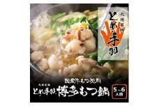 九州名物とめ手羽 博多もつ鍋セット 九州しょうゆ味 5～6人前