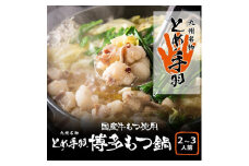 九州名物とめ手羽 博多もつ鍋セット 味噌味 2～3人前