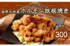 レンジでチン！旨辛福岡県産博多和牛ホルモン鉄板焼き(調理済み)