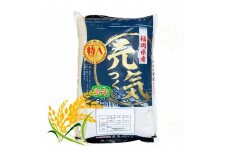 【令和7年産】福岡県産ブランド米「元気つくし」白米 5kg