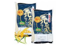 【令和7年産】福岡県産ブランド米「元気つくし」白米 10kg