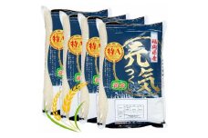 【令和7年産】福岡県産ブランド米「元気つくし」白米 20kg