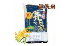 【令和7年産】福岡県産ブランド米「元気つくし」無洗米 5kg