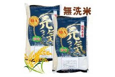 【令和7年産】福岡県産ブランド米「元気つくし」無洗米 10kg