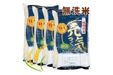 【令和7年産】福岡県産ブランド米「元気つくし」無洗米 20kg