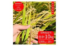※10月下旬より順次発送※令和7年産新米ひのひかり100%(自社保有田米) 10kg(小分け真空パック1000g×10) 福岡県 大川市
