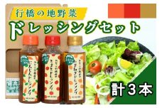 AI-008 行橋の地野菜ドレッシング３本セット