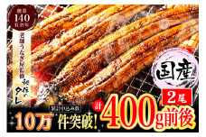 AU-043 【当店オリジナル味付け】九州産・鰻の蒲焼２尾
