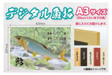 CM-011 【A３・デジタル魚拓】メモリアルフィッシュを釣れたてのままに。