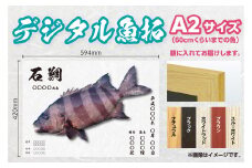 CM-012 【A２・デジタル魚拓】メモリアルフィッシュを釣れたてのままに。
