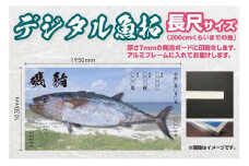 CM-017 【長尺・デジタル魚拓】メモリアルフィッシュを釣れたてのままに。
