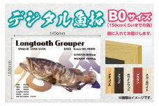 CM-016 【B０・デジタル魚拓】メモリアルフィッシュを釣れたてのままに。