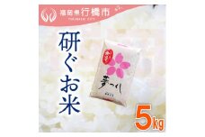 AF-015　福岡県産夢つくし【研ぐお米】5kg