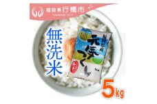 AF-007　福岡県産元気つくし【無洗米】5kg
