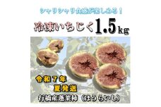 AO-001_【予約・令和7年夏発送】冷凍いちじく1.5kg