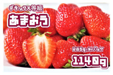 DU-004 【先行予約】うるう農園のあまおう デラックス等級 4パック(1140g)