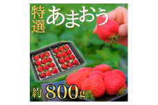 DU-002 【先行予約】特選あまおう800g