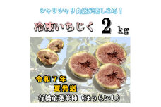 AO-010_冷凍いちじく2kg