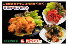 AS-008_人気の韓国チキン3種類食べ比べ！韓国チキンセット