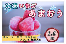 CZ-008_福岡県産ブランド【あまおう】冷凍いちご1.6kg