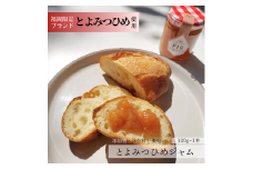 DD-002_行橋産とよみつひめ使用　とよみつひめのジャム　120g×1本